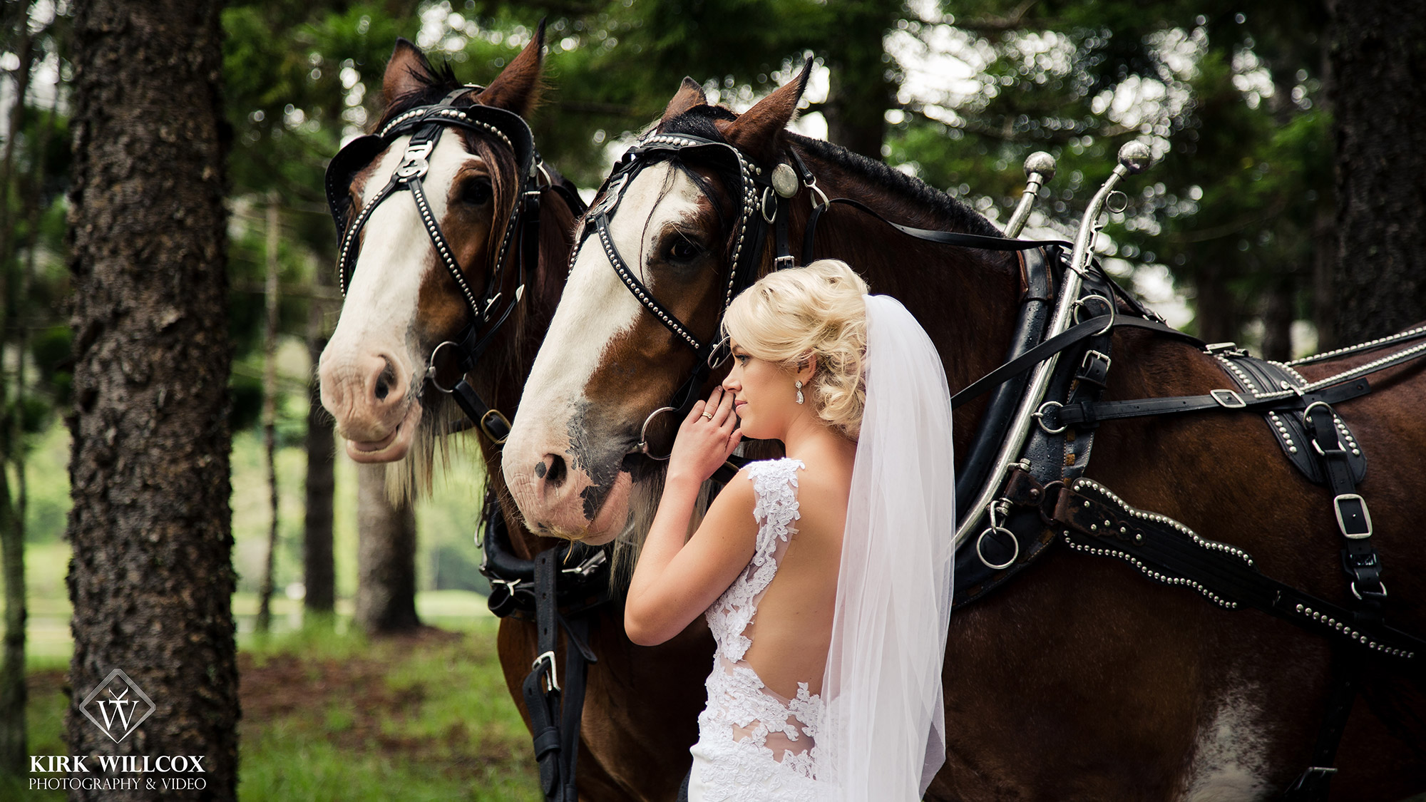 bride portrait gold coast