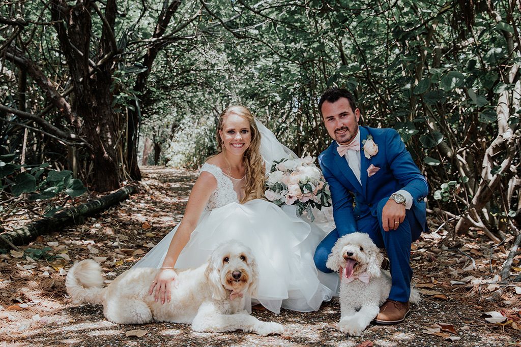 bride and groom with dogs