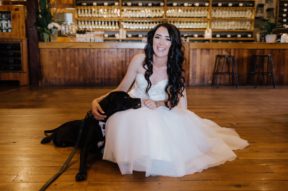 pets at your wedding