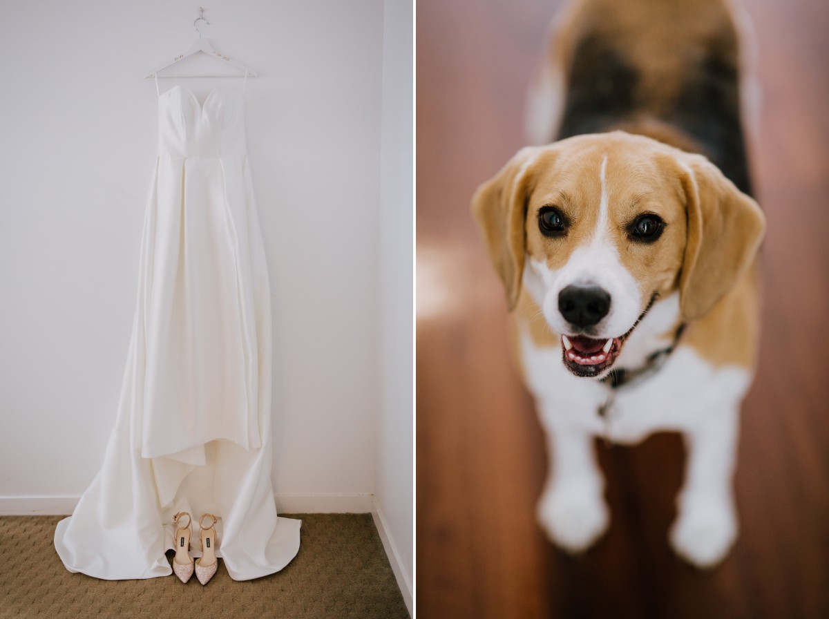 wedding dress and dog