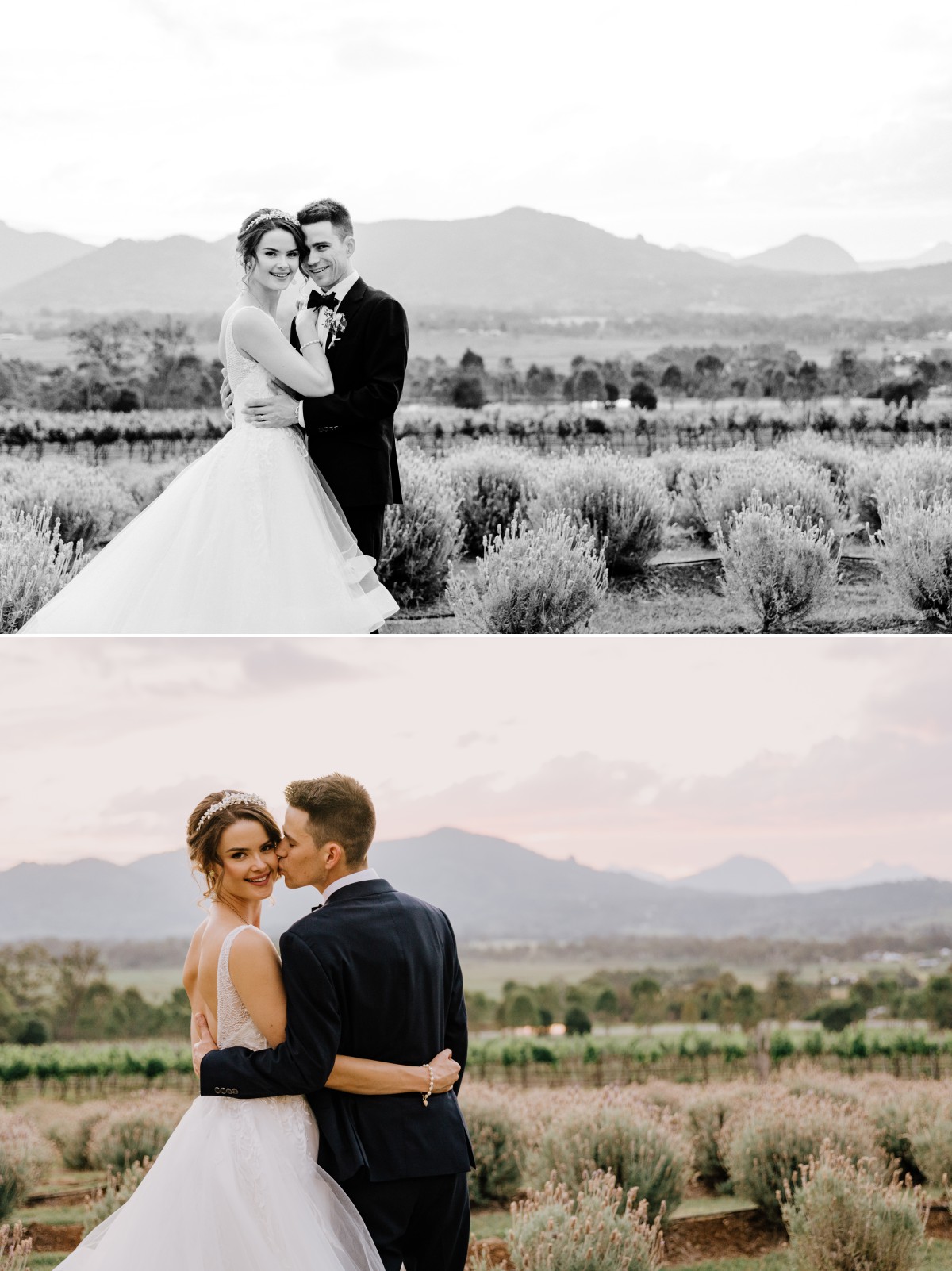 Kooroomba Lavender Farm wedding Kirk Willcox Photography