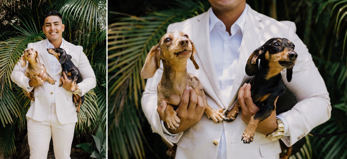 groom with dogs at wedding