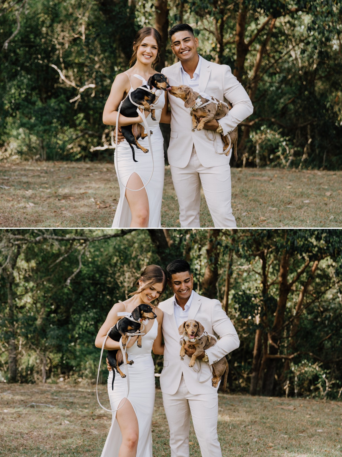 Bride and Groom wedding photos with their dogs