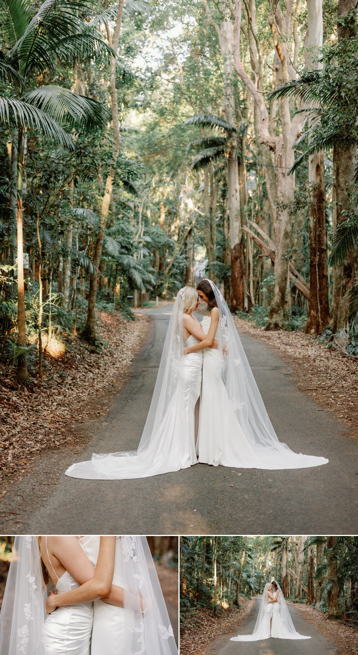 Mount Tamborine wedding photographer