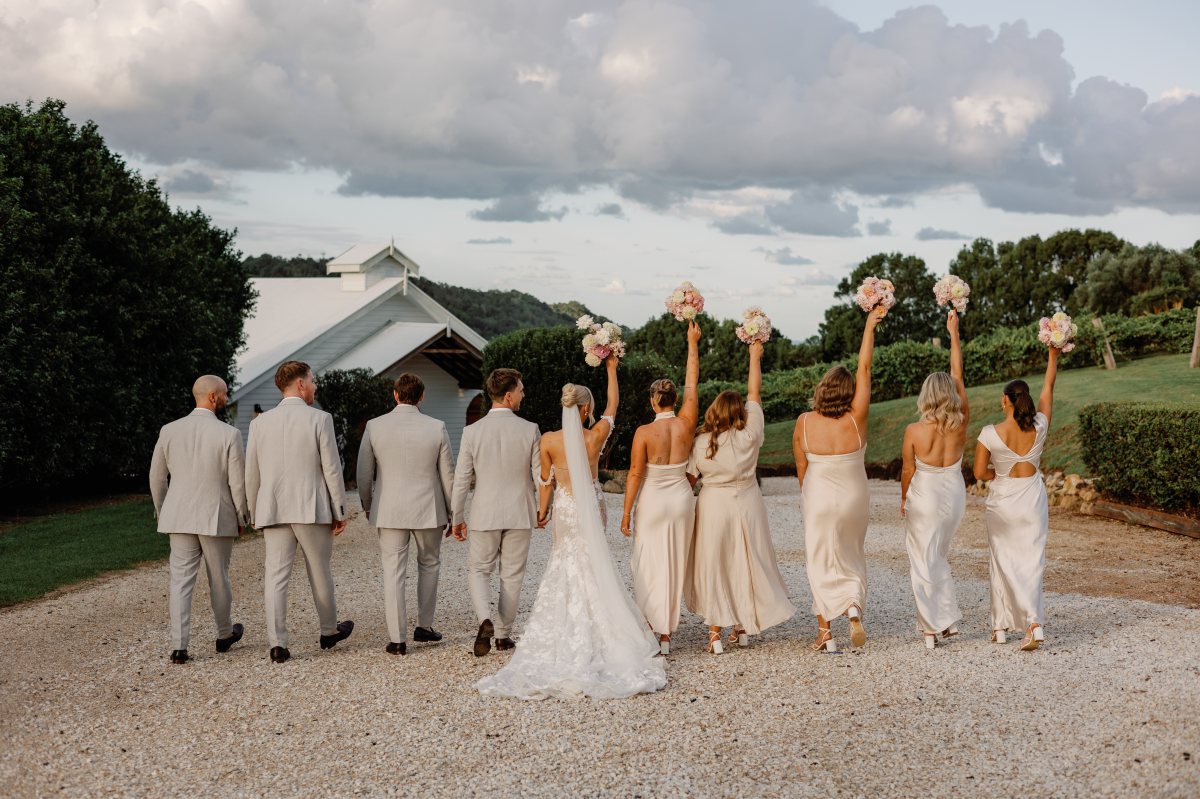 bride and groom with bridal party wedding photos